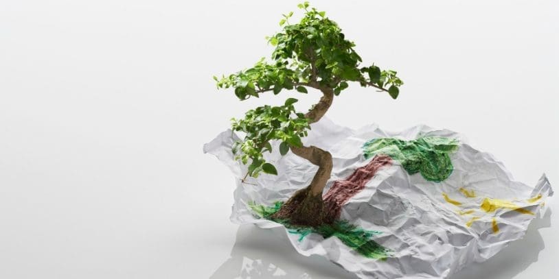 Personal Development Success