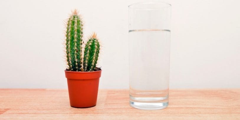 Tapping with EFT Hydration and Water